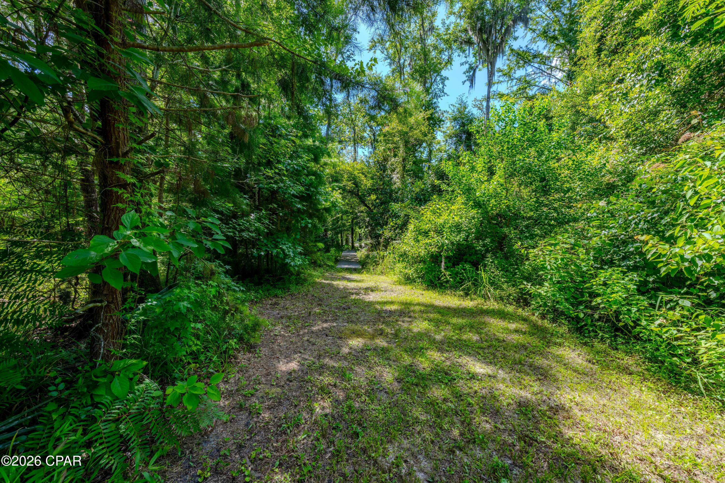 5130 Lake Bluff Circle Marianna FL 32446
