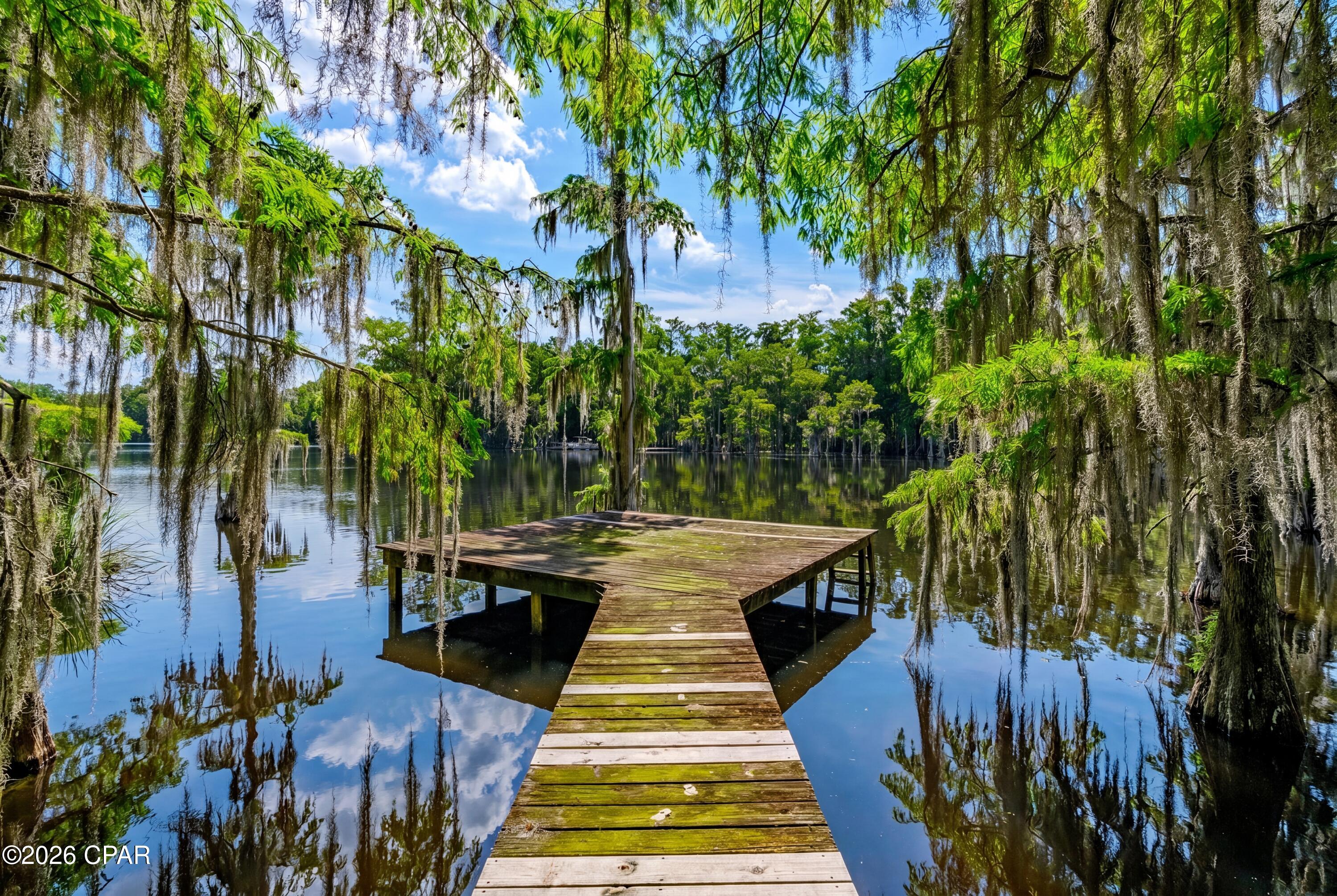 5130 Lake Bluff Circle Marianna FL 32446