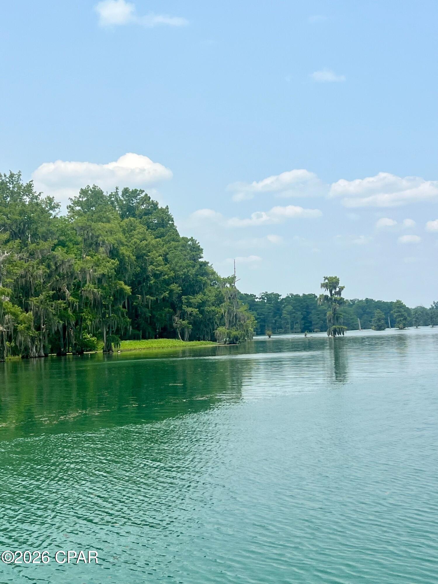 5130 Lake Bluff Circle Marianna FL 32446