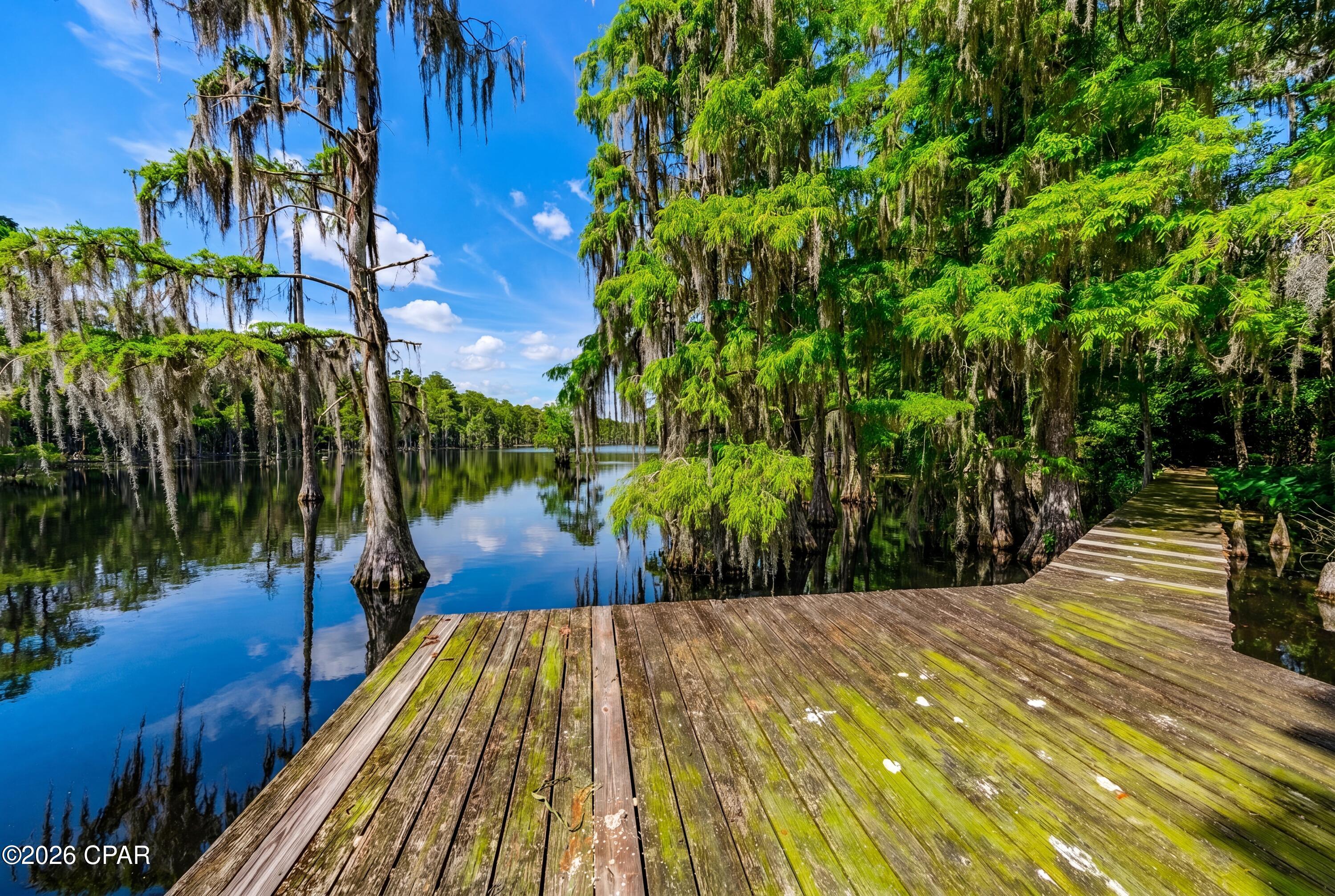 5130 Lake Bluff Circle Marianna FL 32446