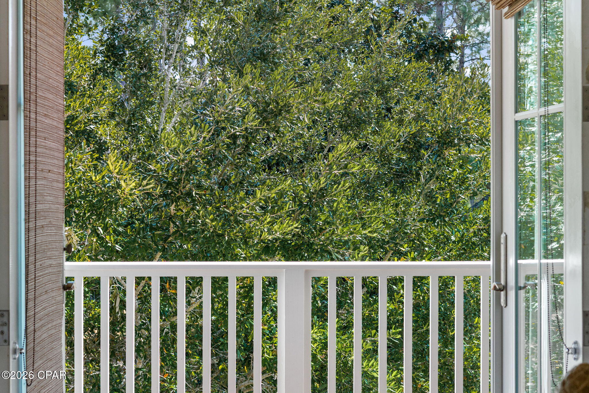 231 Wisteria Way Santa Rosa Beach FL 32459