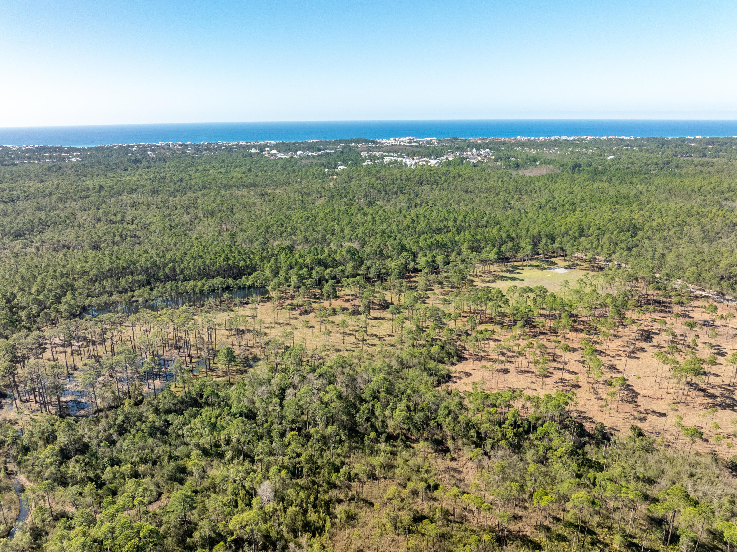 24-ACRES Highway 98 Santa Rosa Beach FL 32459