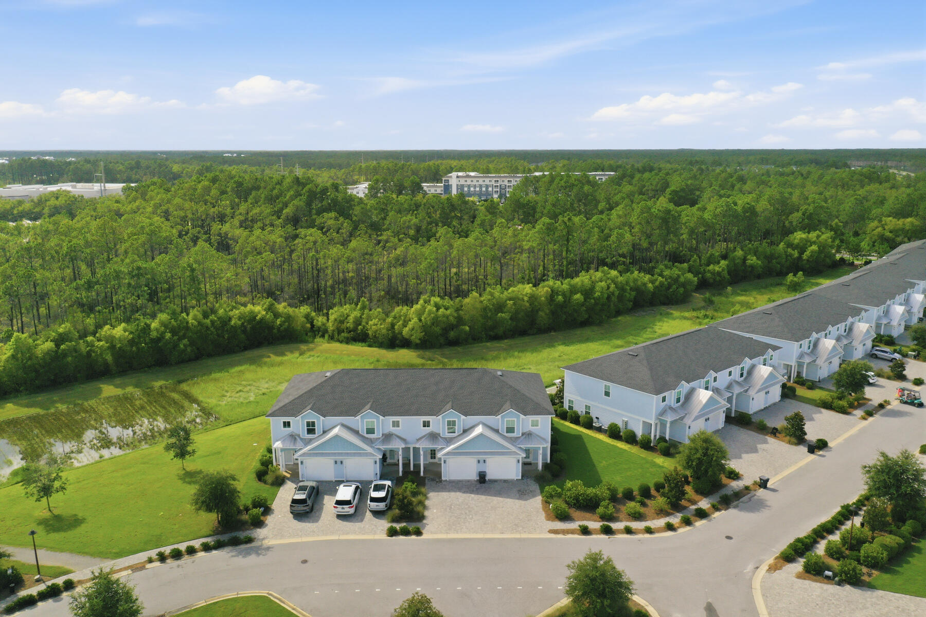 135 Golden Bell Court Inlet Beach FL 32461