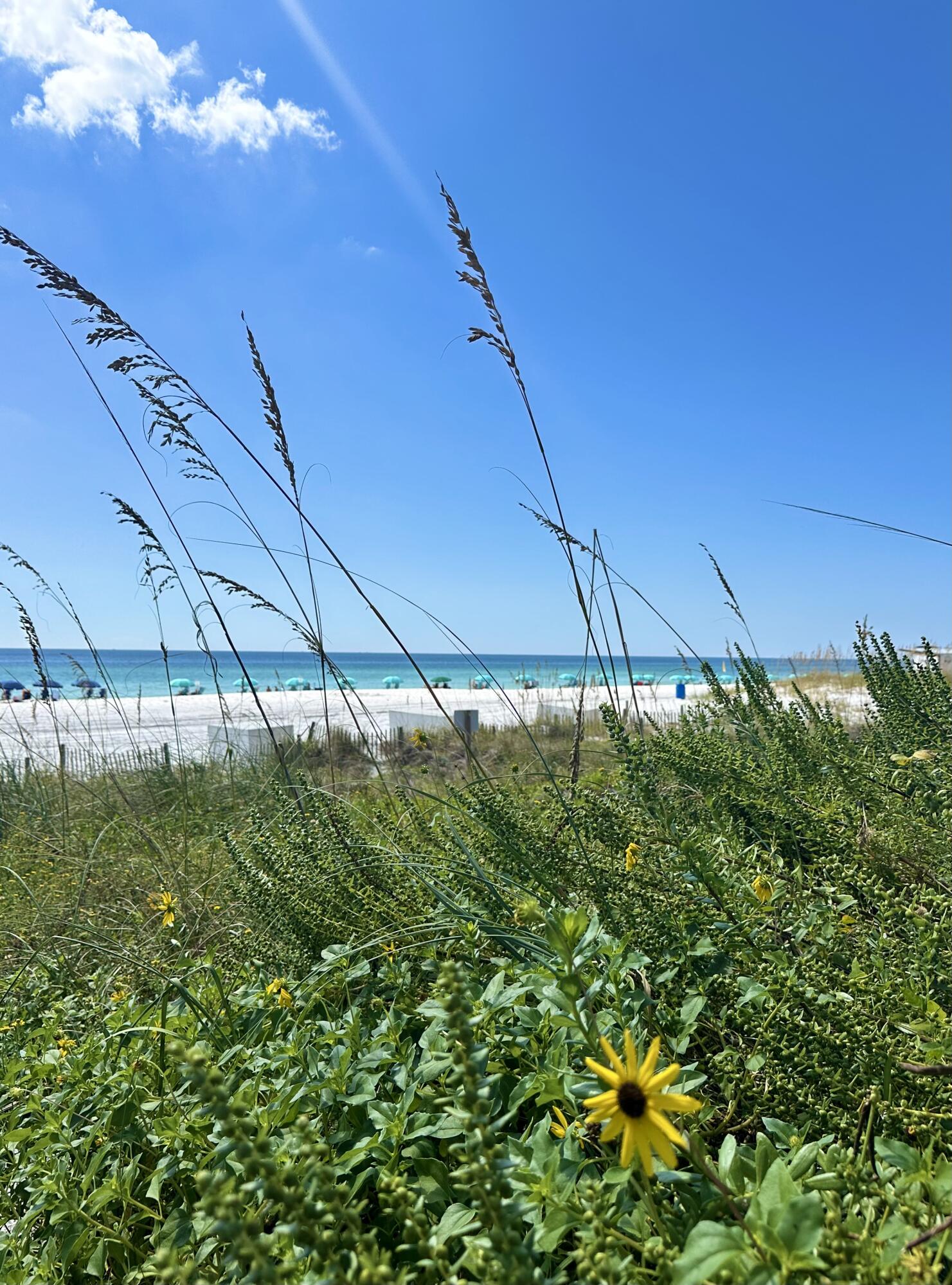 1040 E Highway 98 Destin FL 32541