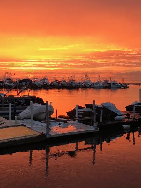31 Seagull Cove Miramar Beach FL 32550