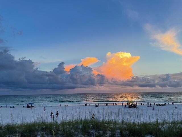 31 Seagull Cove Miramar Beach FL 32550