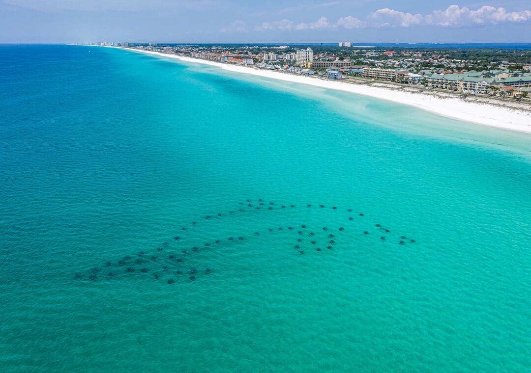 60 Sandprints Drive Miramar Beach FL 32550