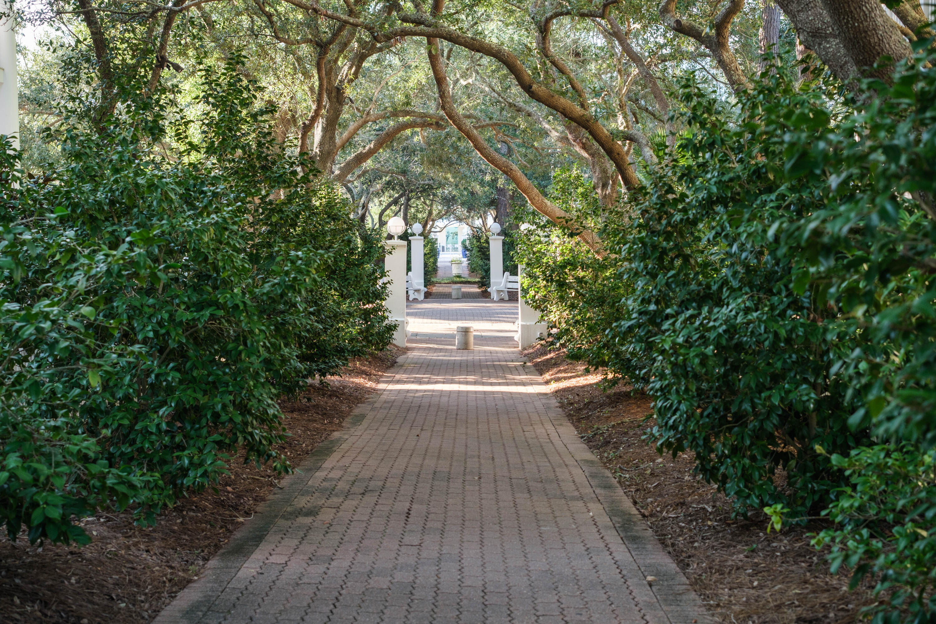 114 Carillon Market Street Panama City Beach FL 32413