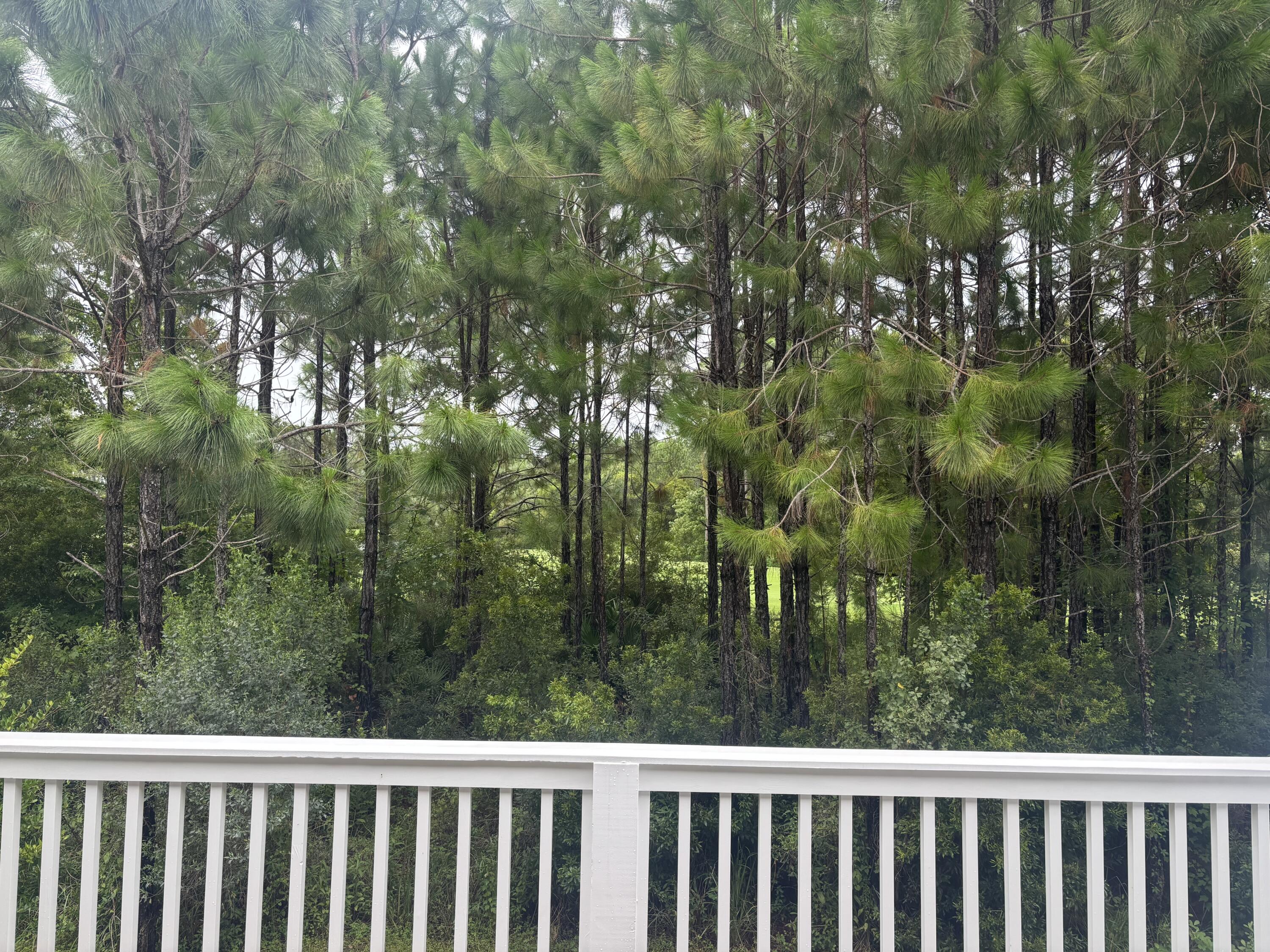 65 Golden Bell Court Inlet Beach FL 32461