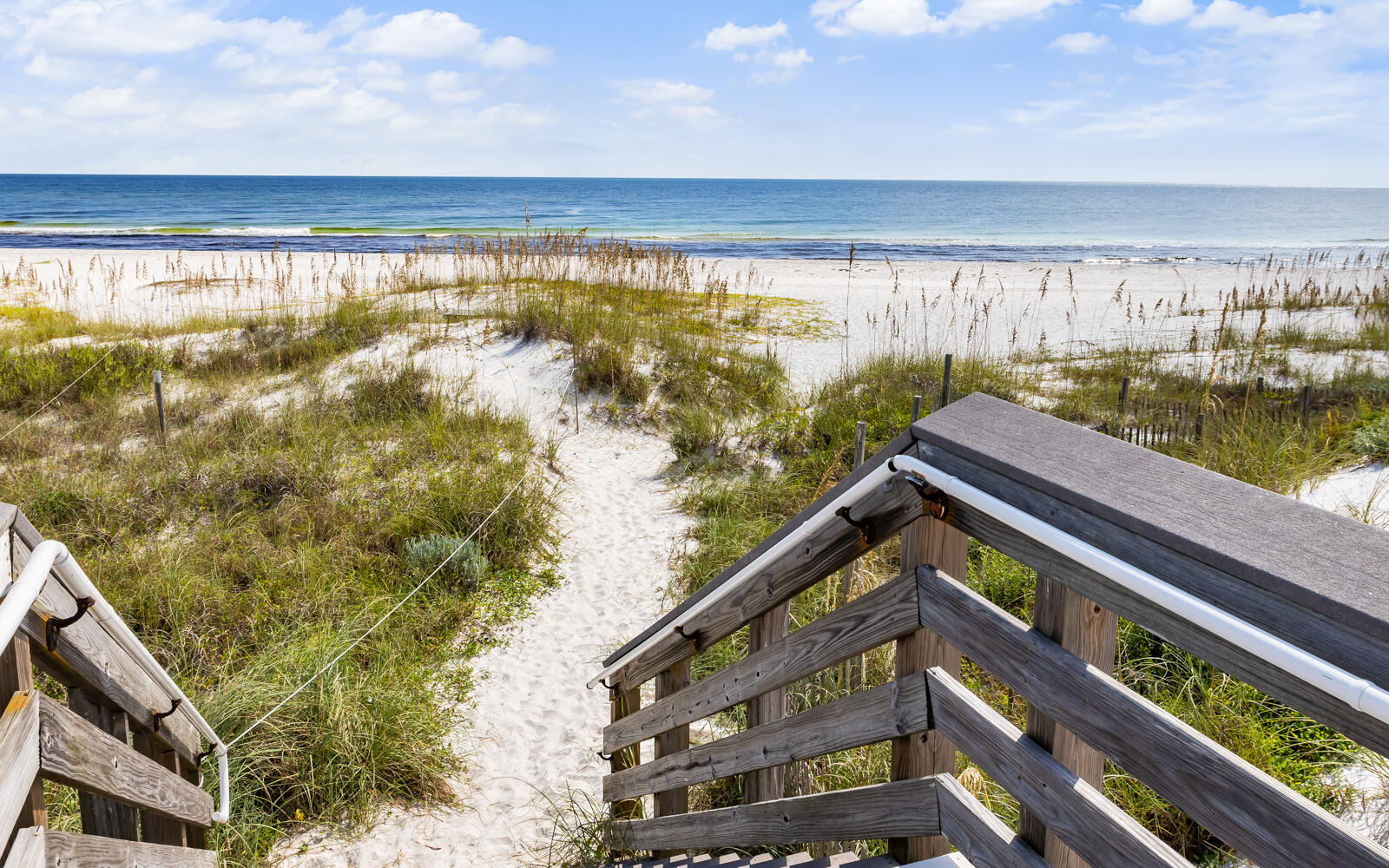 228 Walton Magnolia Lane Inlet Beach FL 32461