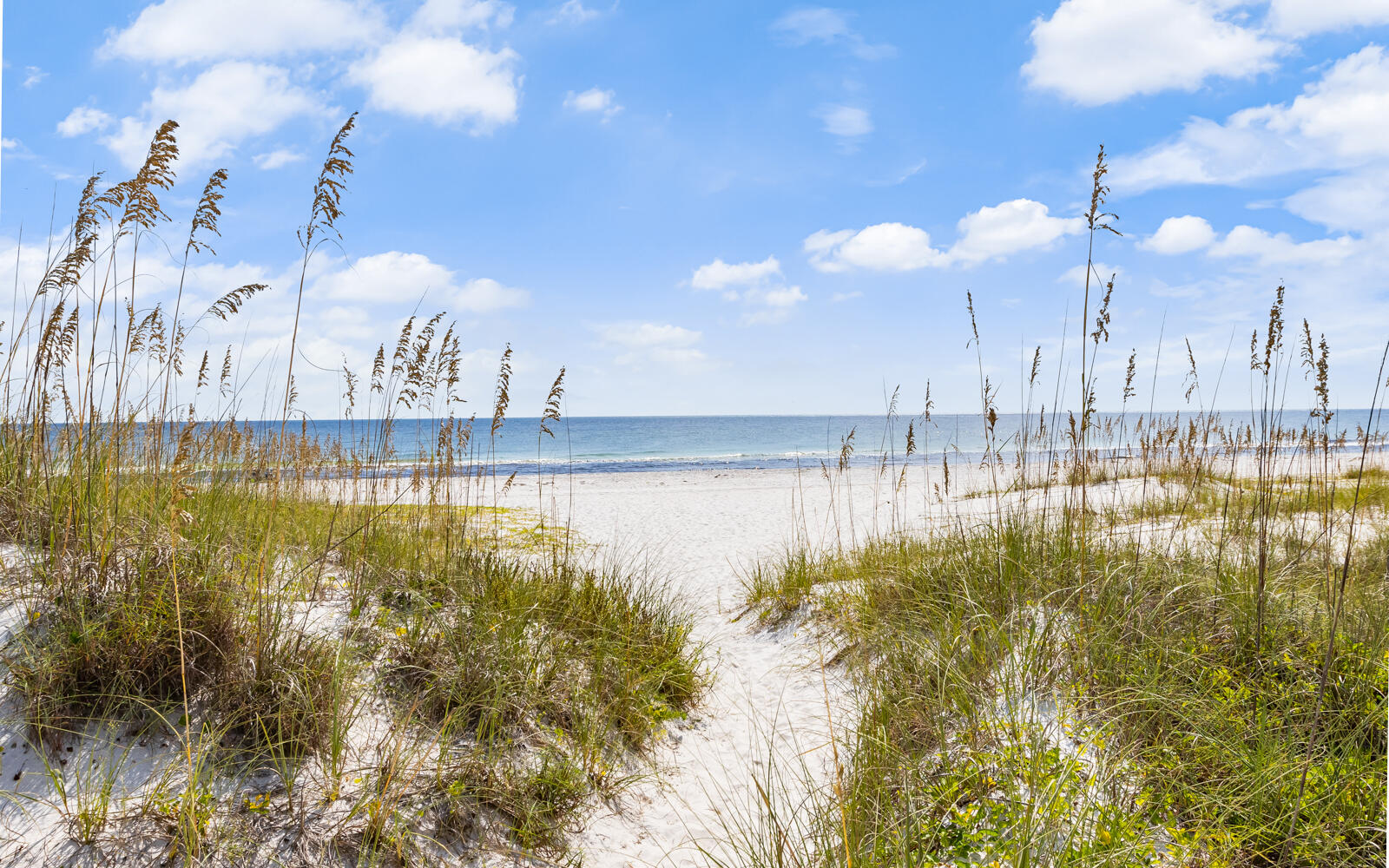 228 Walton Magnolia Lane Inlet Beach FL 32461
