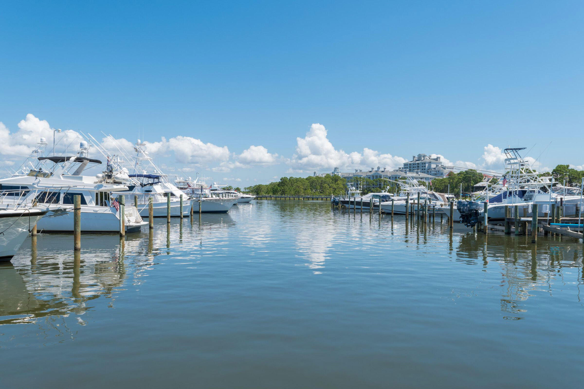 8981 Heron Walk Drive Miramar Beach FL 32550
