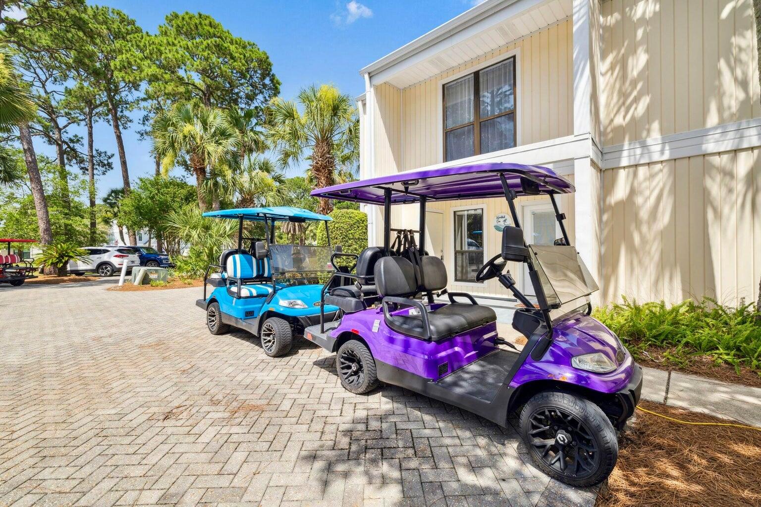 736 Sandpiper Place Miramar Beach FL 32550