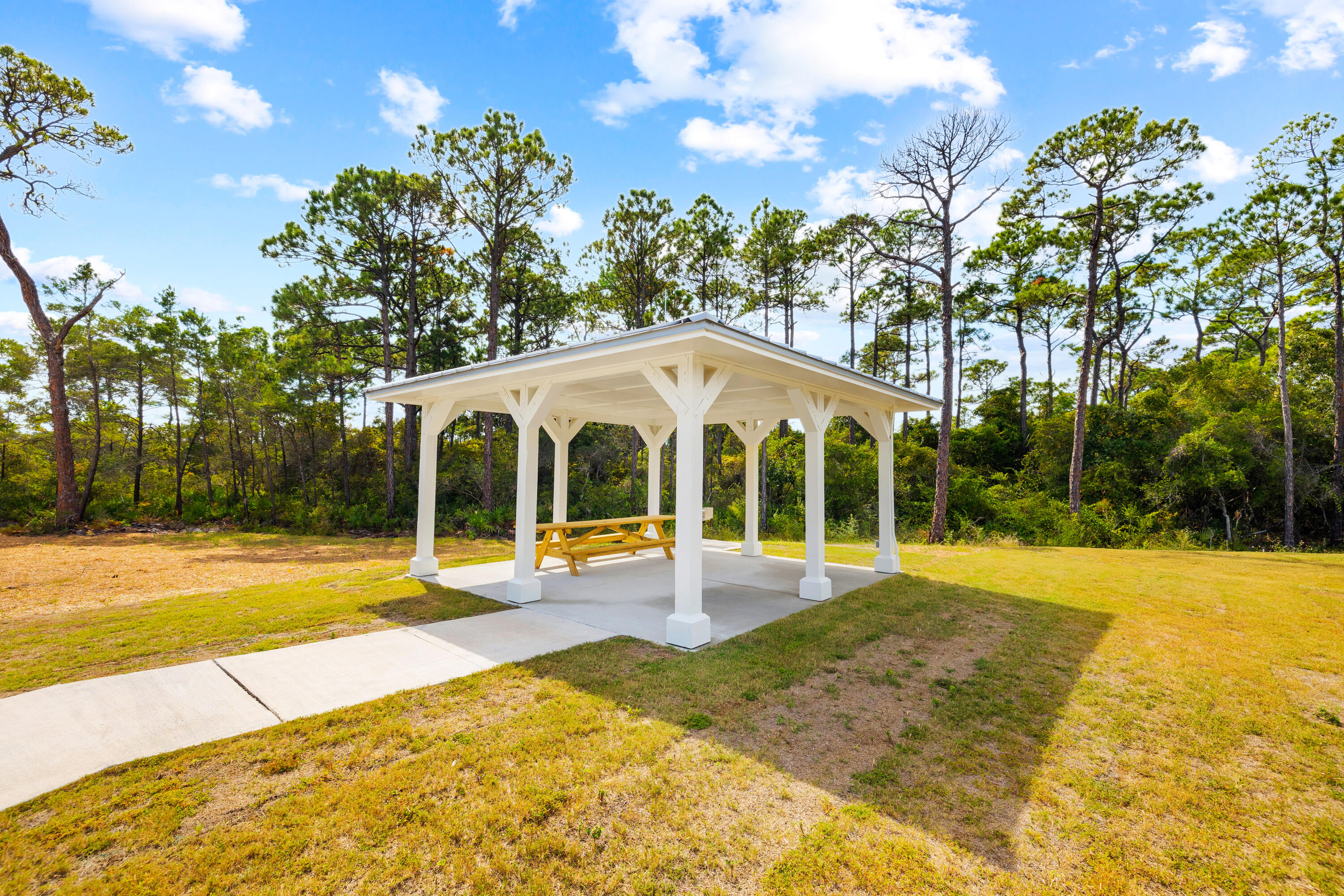 4 E Milestone Drive Inlet Beach FL 32461