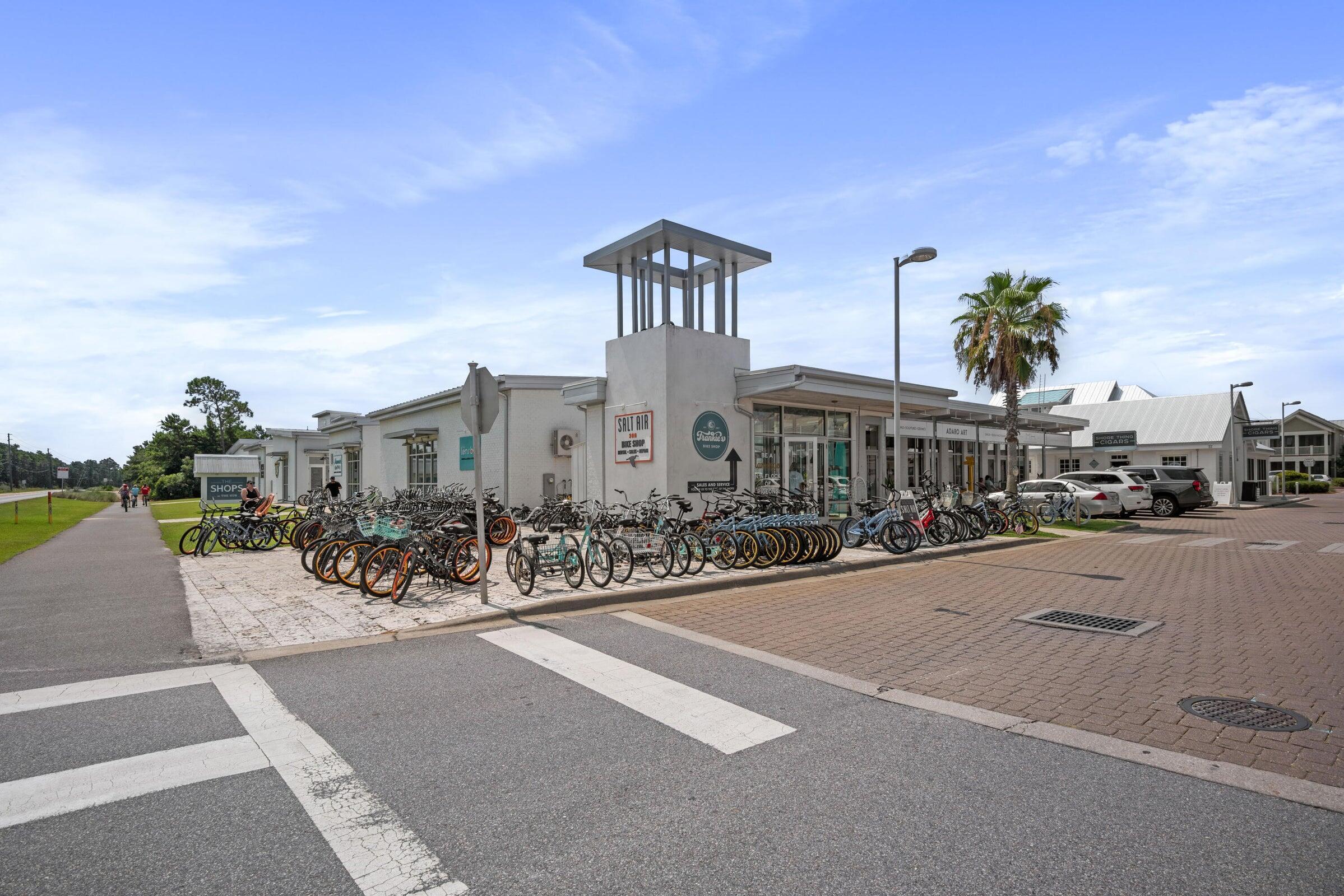 91 Milestone Drive Inlet Beach FL 32461