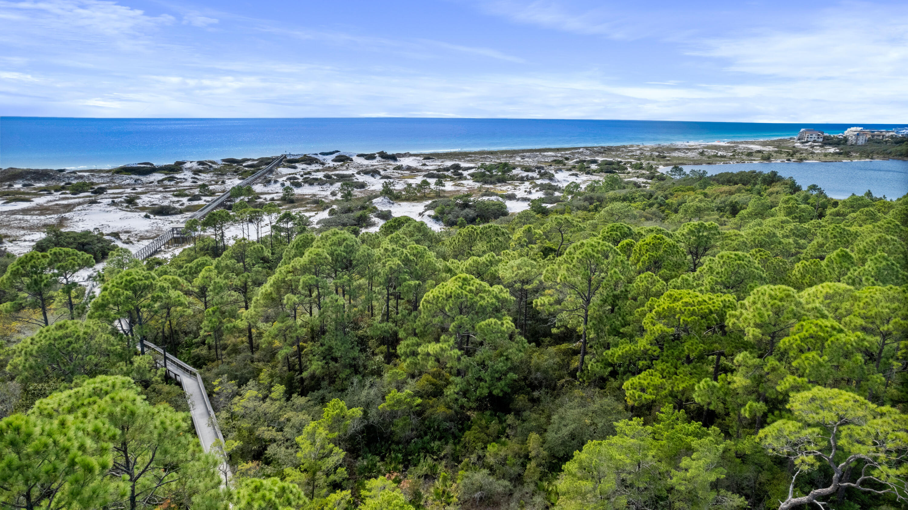 223 Milestone Drive Inlet Beach FL 32461