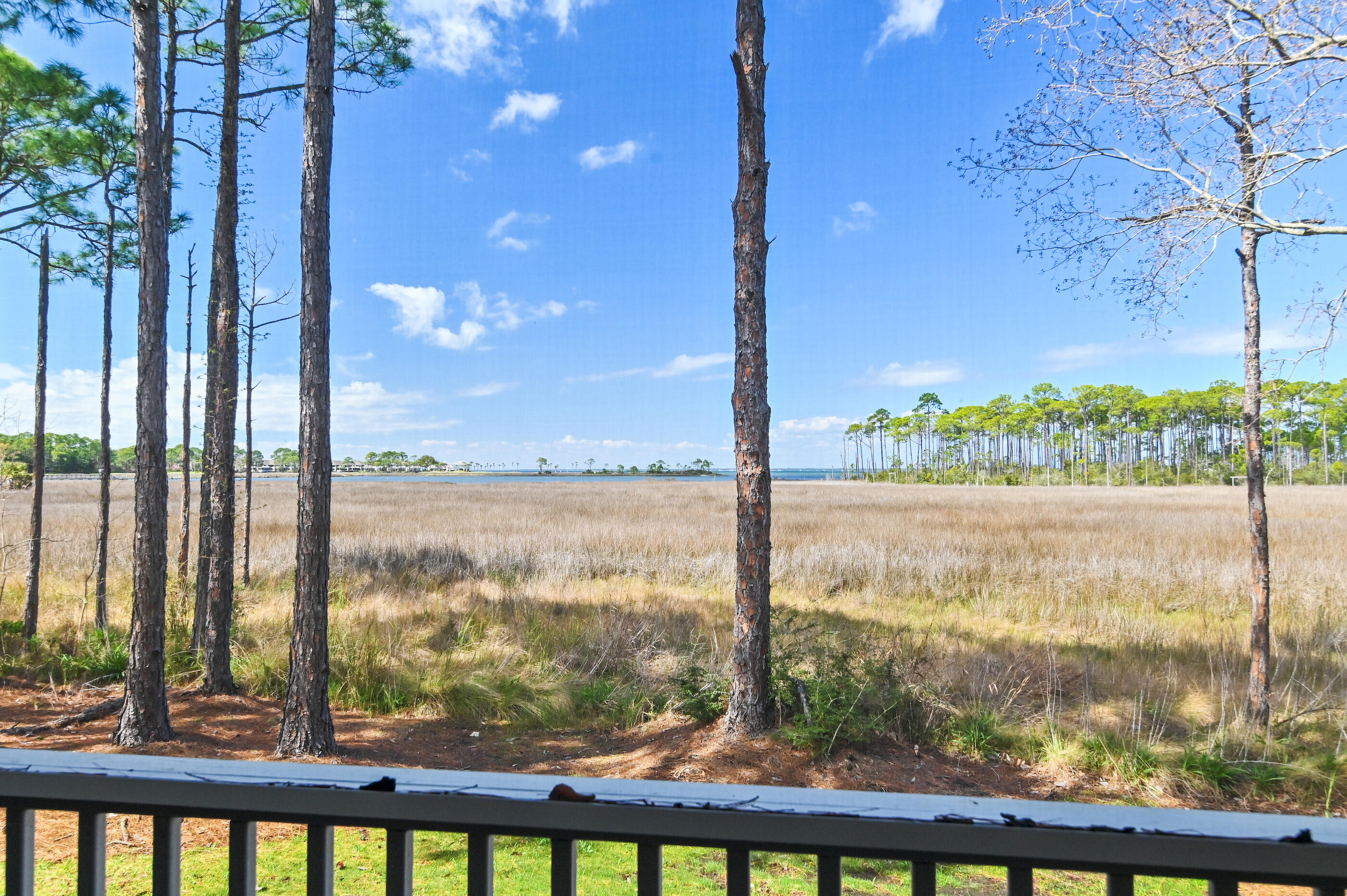 8964 E Heron Walk Drive Miramar Beach FL 32550