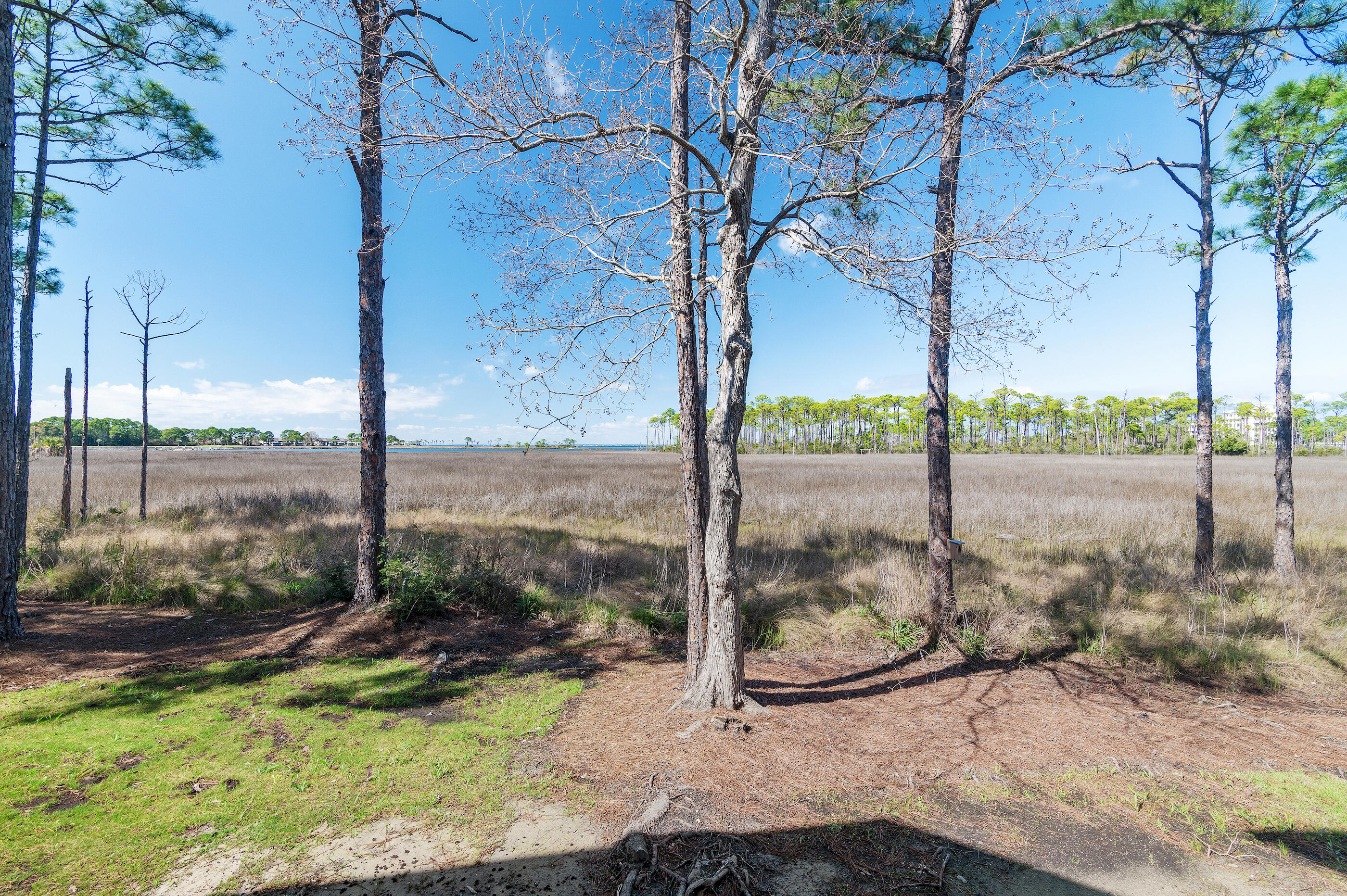 8964 E Heron Walk Drive Miramar Beach FL 32550