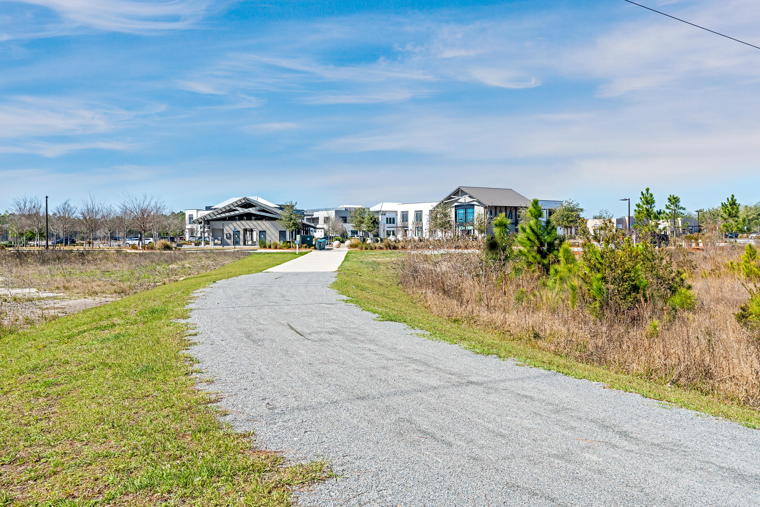 46 Golden Bell Court Inlet Beach FL 32461