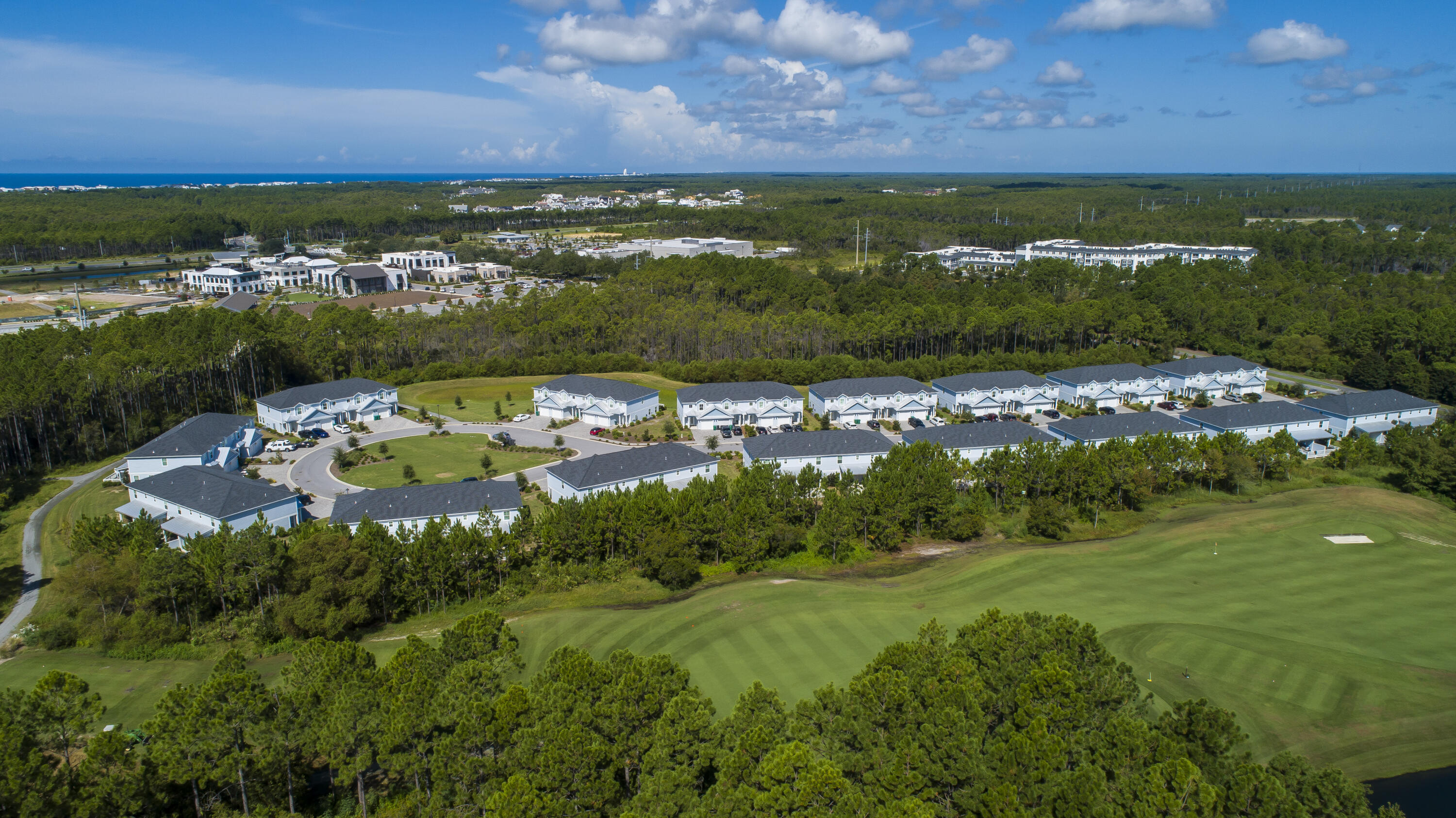 46 Golden Bell Court Inlet Beach FL 32461