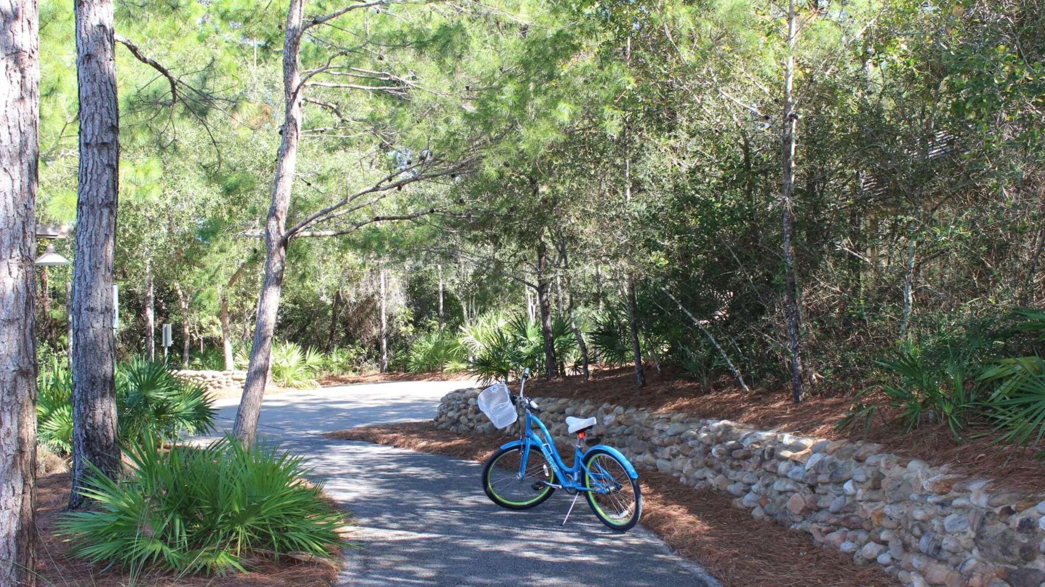 145 Spires Lane Santa Rosa Beach FL 32459