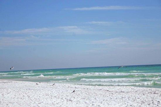 200 Sandestin Lane Miramar Beach FL 32550
