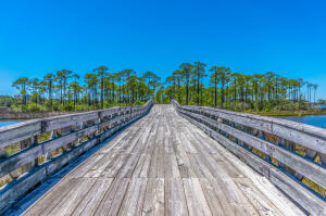 709 Sandpiper Drive Miramar Beach FL 32550