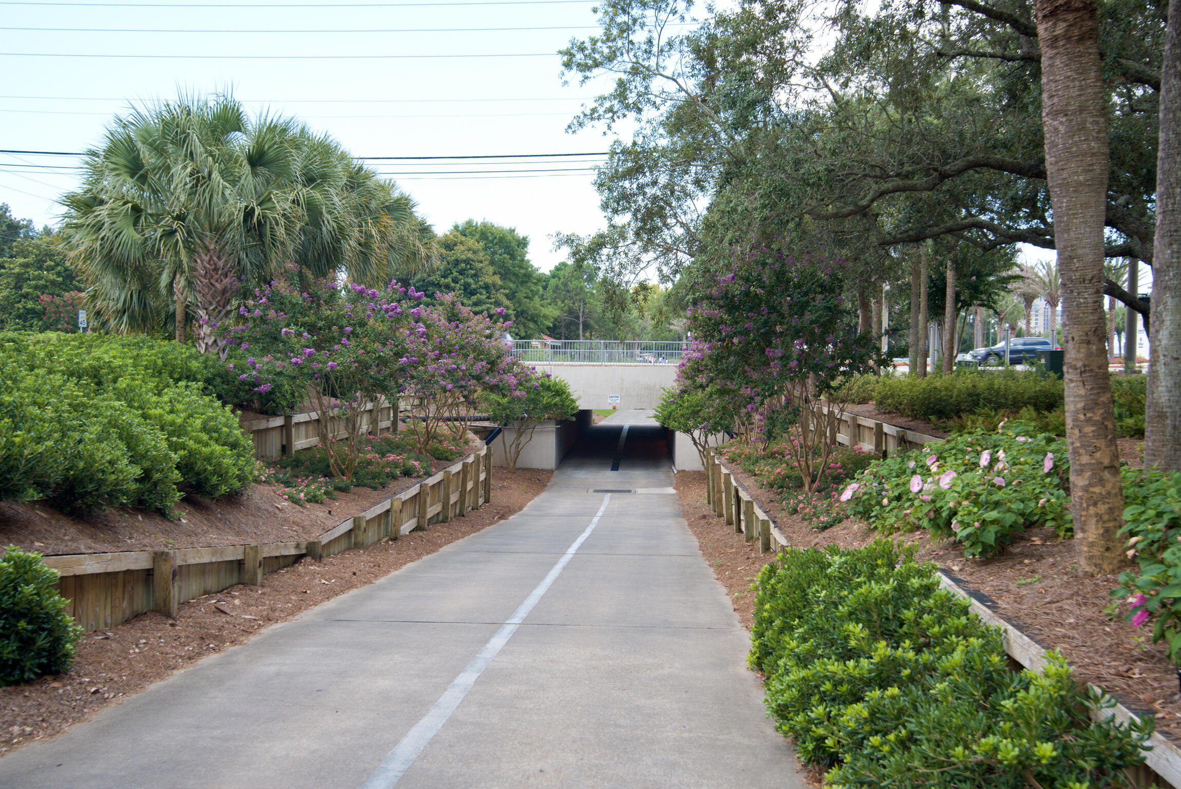 709 Sandpiper Drive Miramar Beach FL 32550