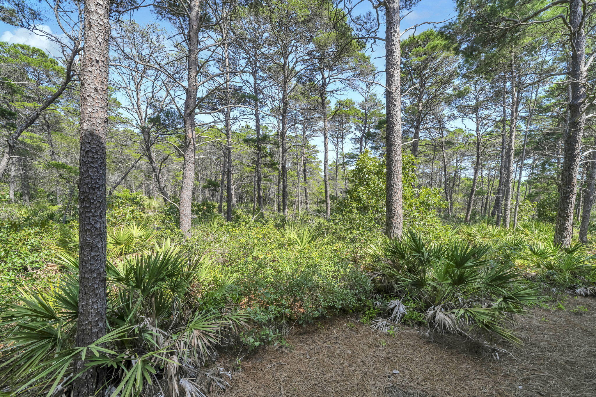 80 E Milestone Drive Inlet Beach FL 32461