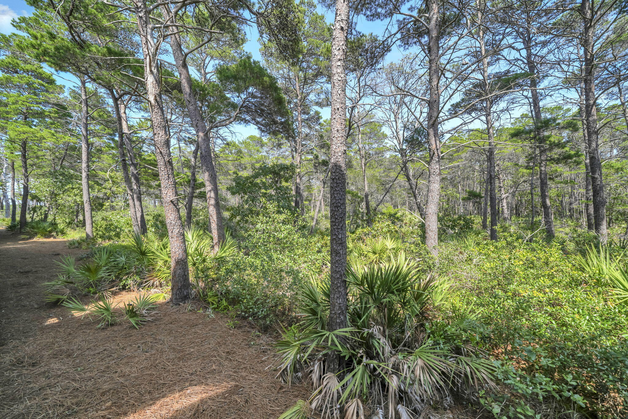 80 E Milestone Drive Inlet Beach FL 32461