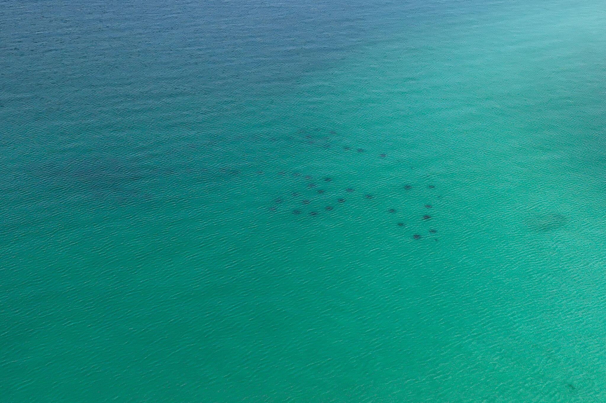 60 Sandprints Drive Miramar Beach FL 32550