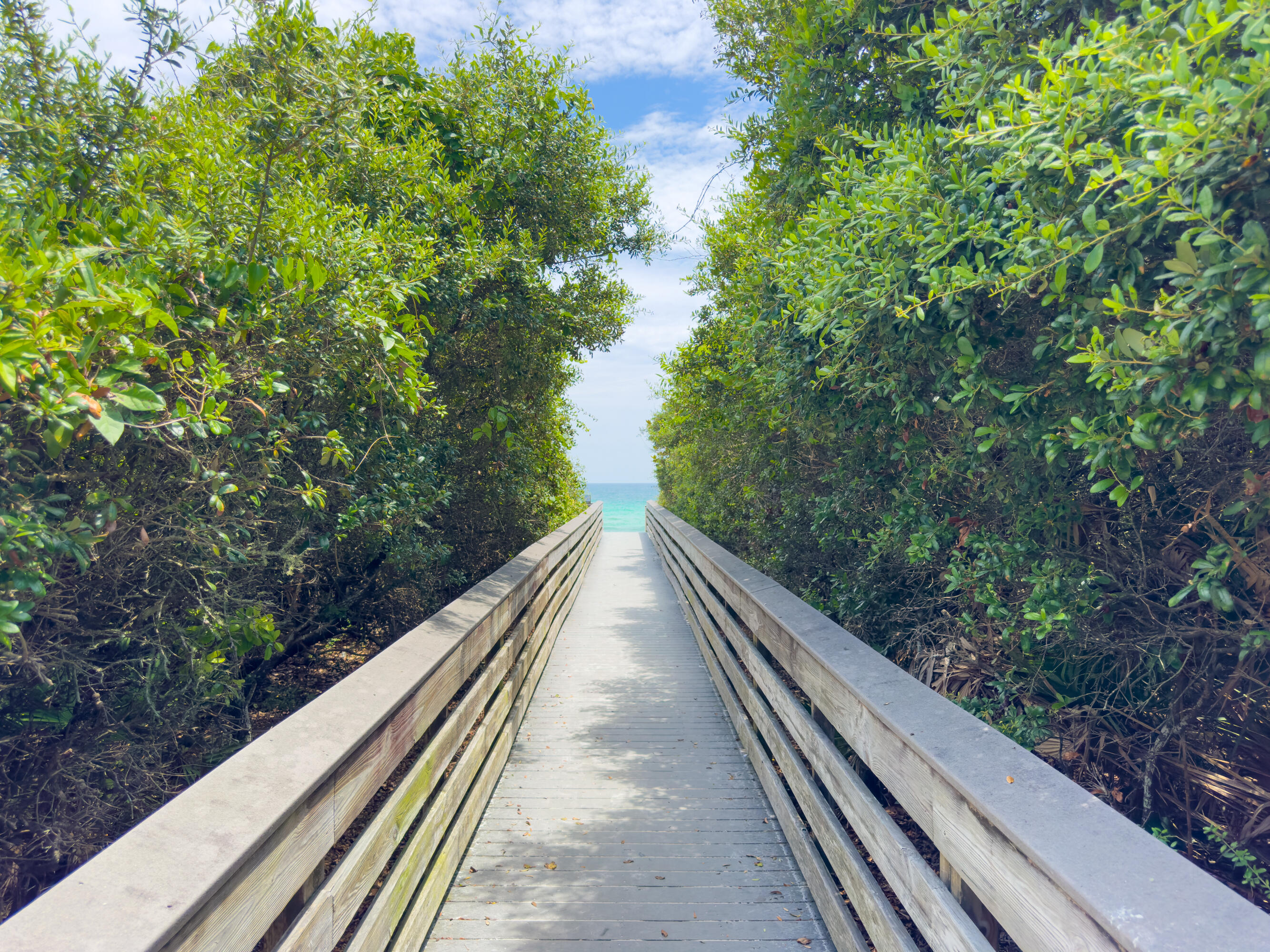 3799 E County Hwy 30a Santa Rosa Beach FL 32459