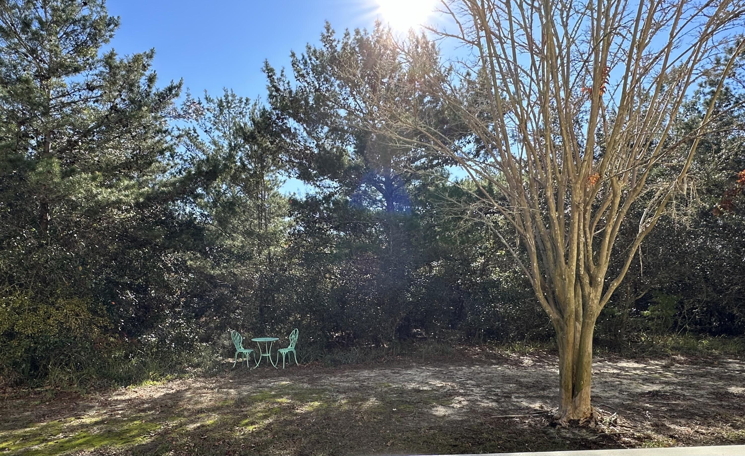 25 S Wildflower Drive Santa Rosa Beach FL 32459