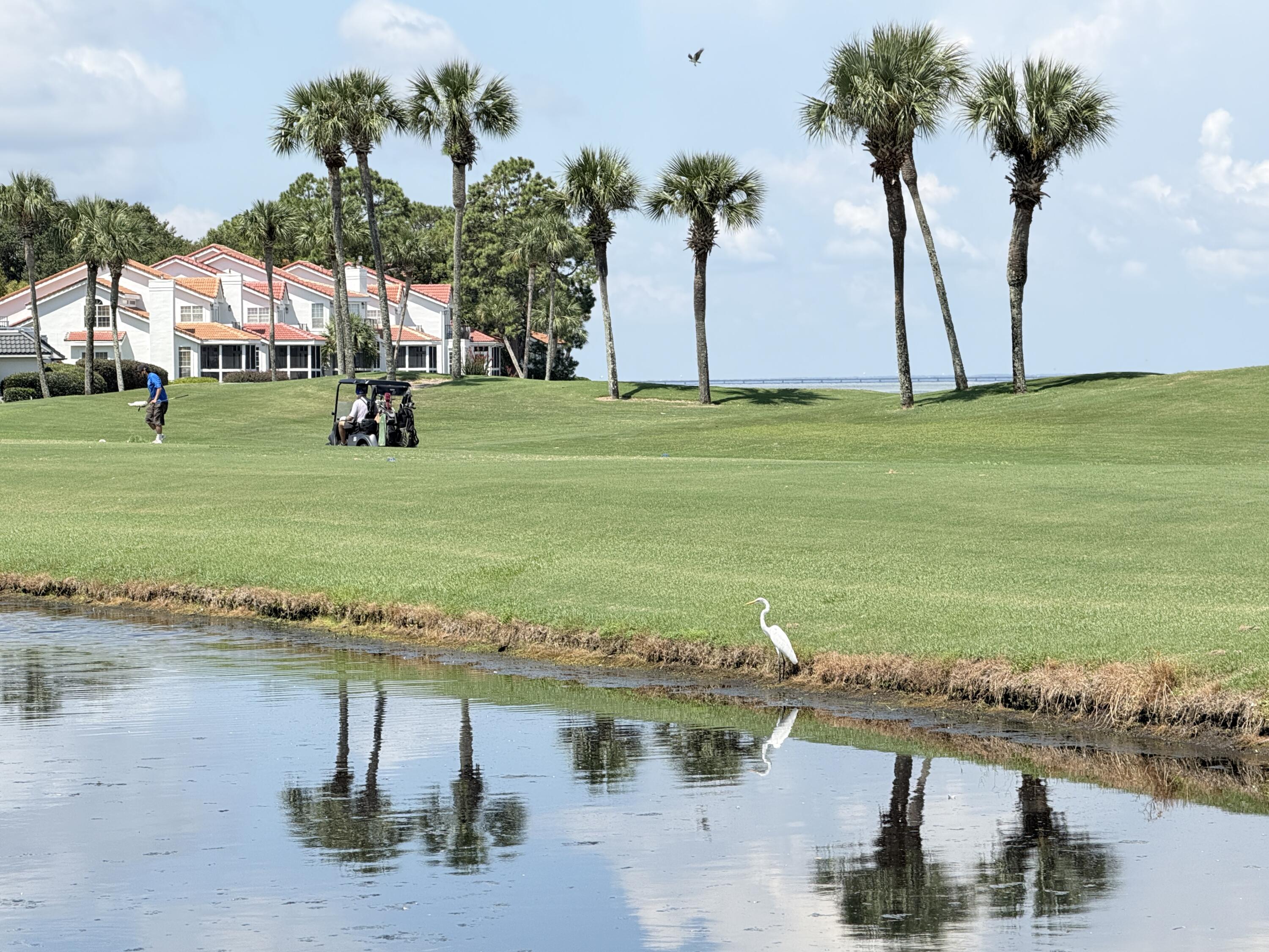 32 Vantage Point Miramar Beach FL 32550