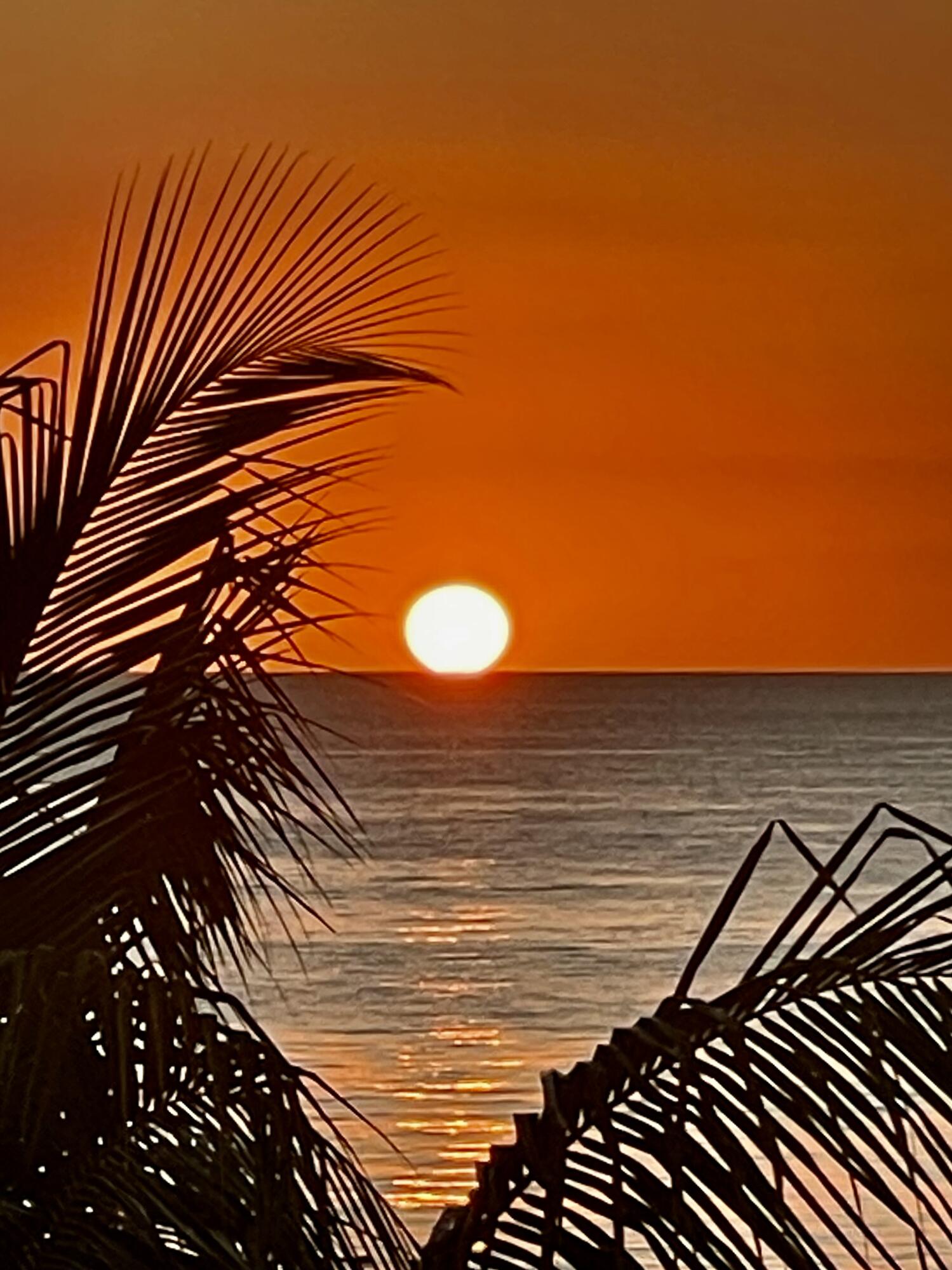 32 Vantage Point Miramar Beach FL 32550