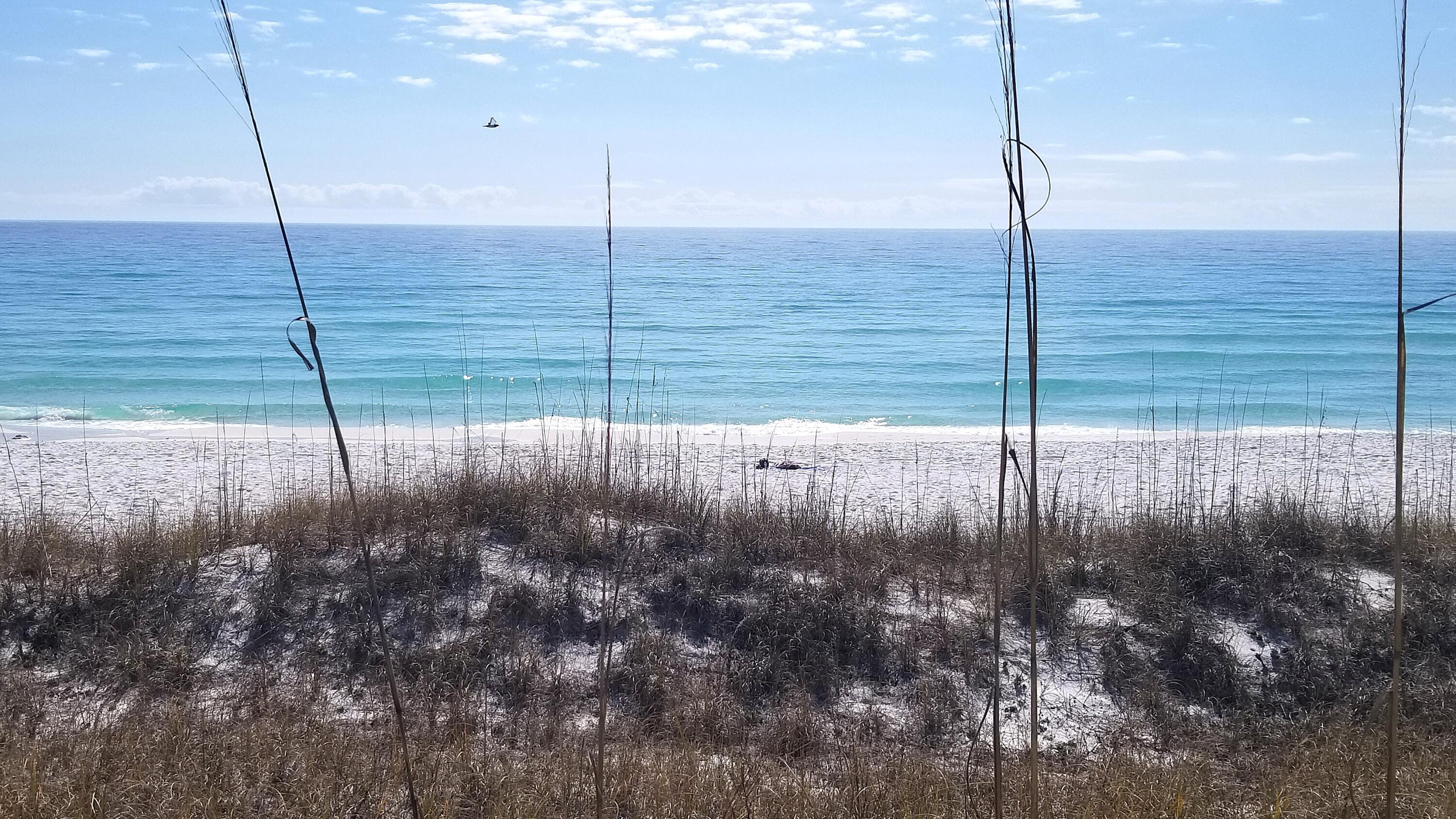 285 Payne Street Miramar Beach FL 32550