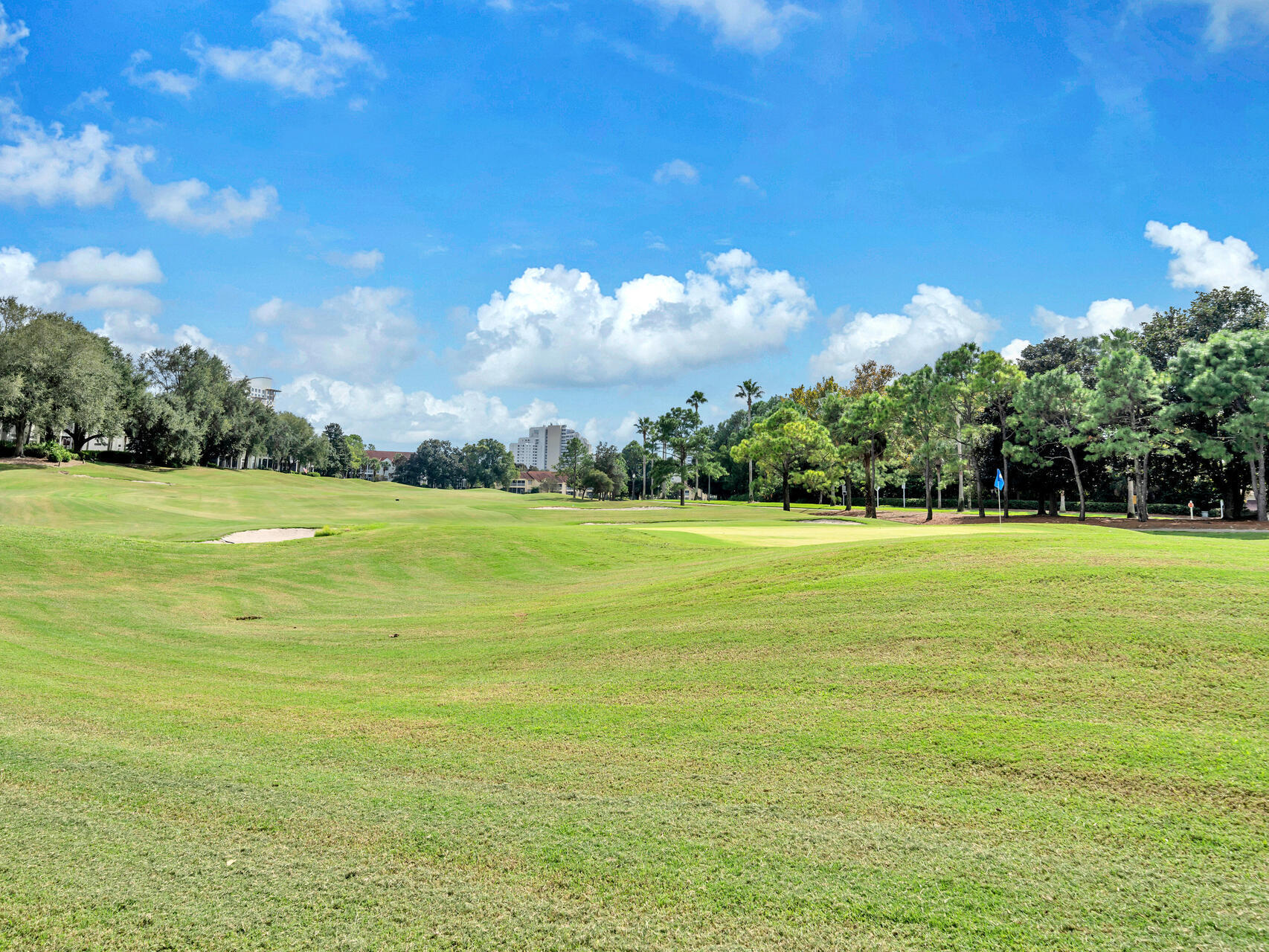 5351 Pine Ridge Lane Miramar Beach FL 32550