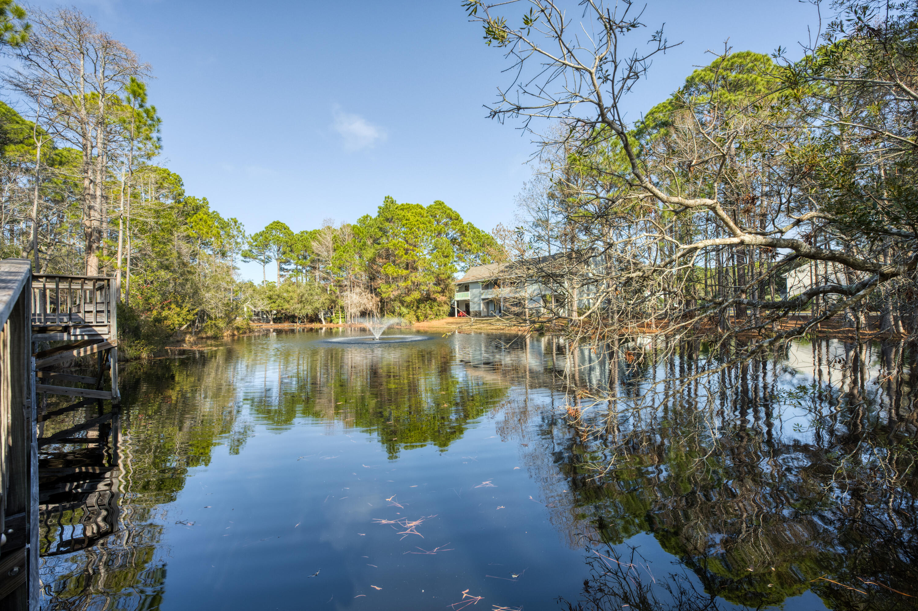 59 N Myrtle Drive Santa Rosa Beach FL 32459