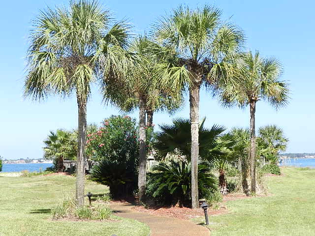 8520 Gulf Boulevard Navarre FL 32566