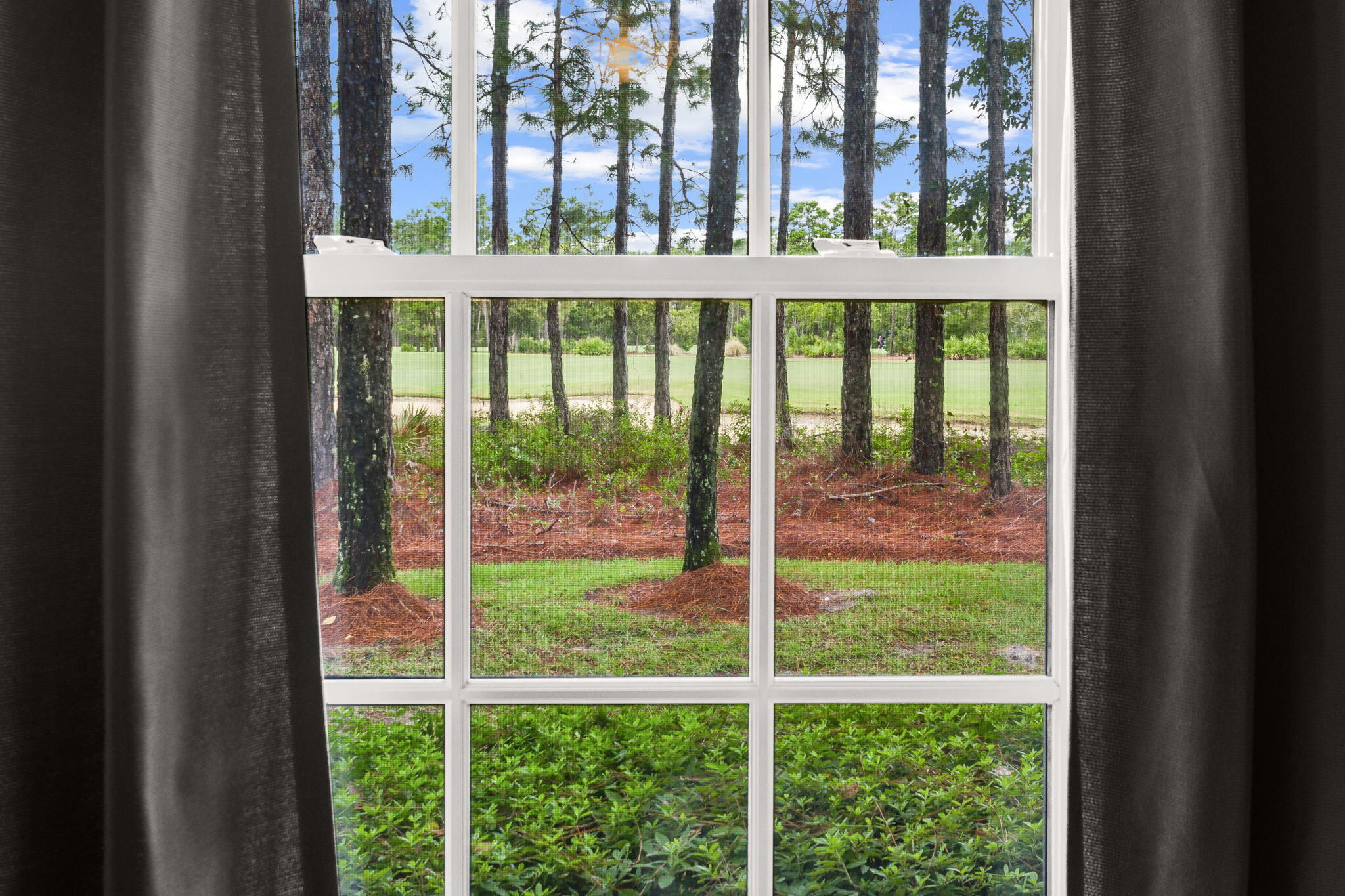 1401 Salamander Trail Panama City Beach FL 32413