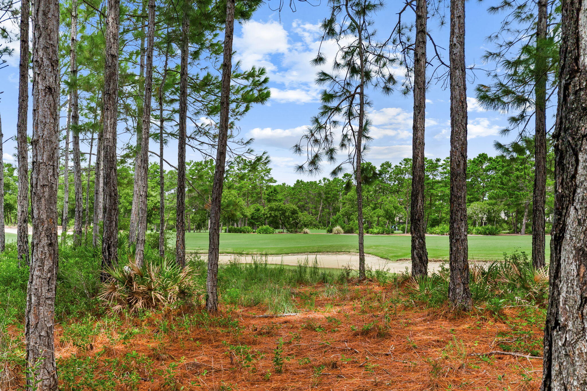 1401 Salamander Trail Panama City Beach FL 32413