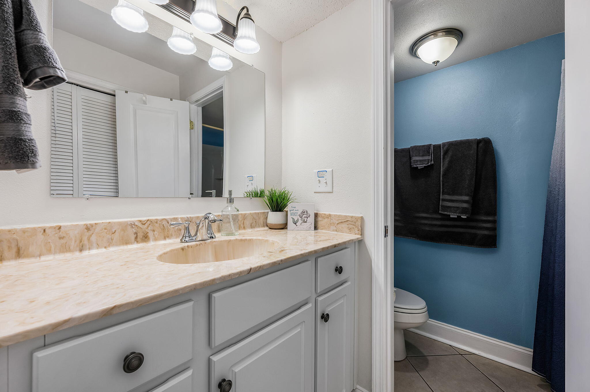 293 Sunset Bay Miramar Beach FL 32550