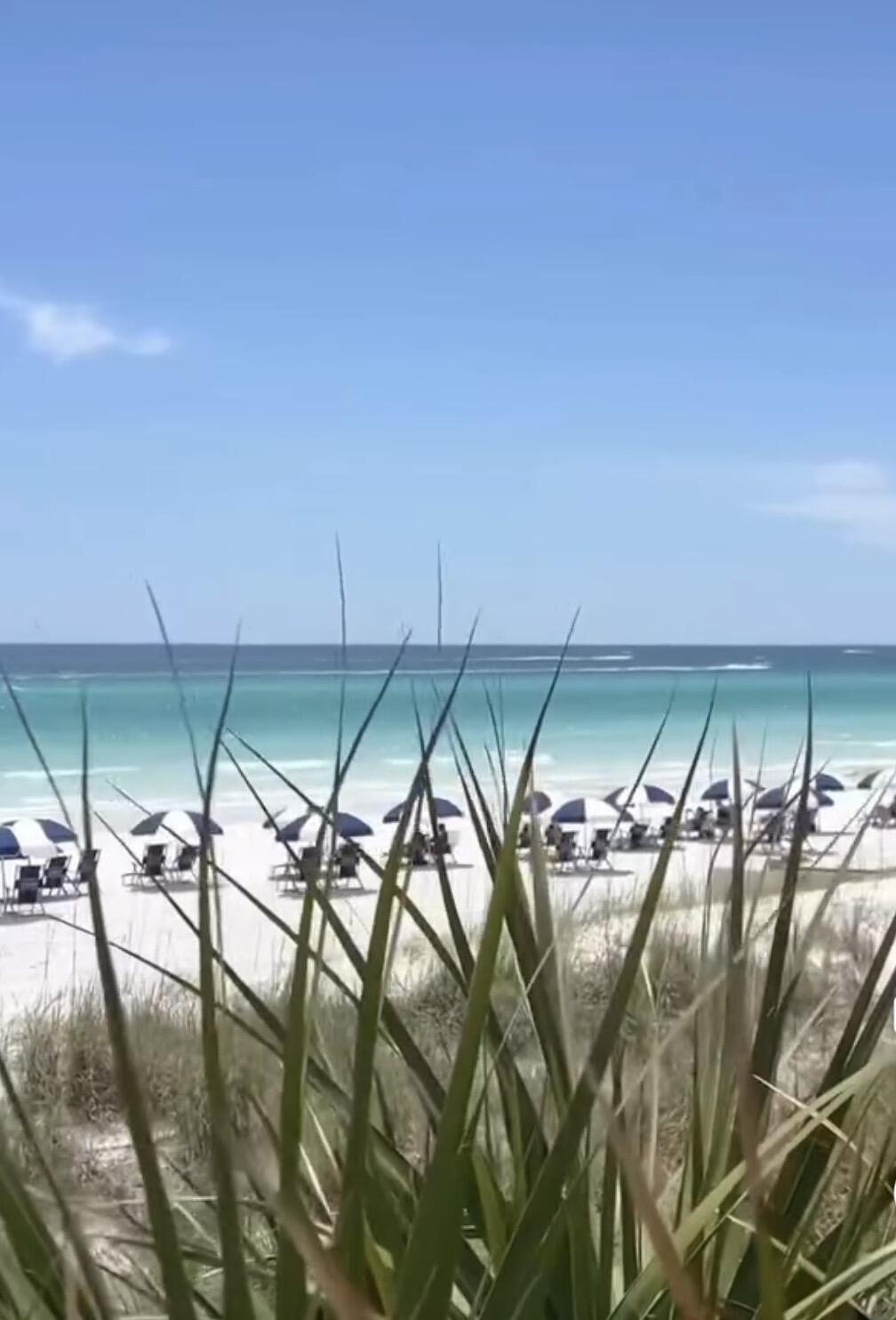 179 S County Highway 393 Santa Rosa Beach FL 32459