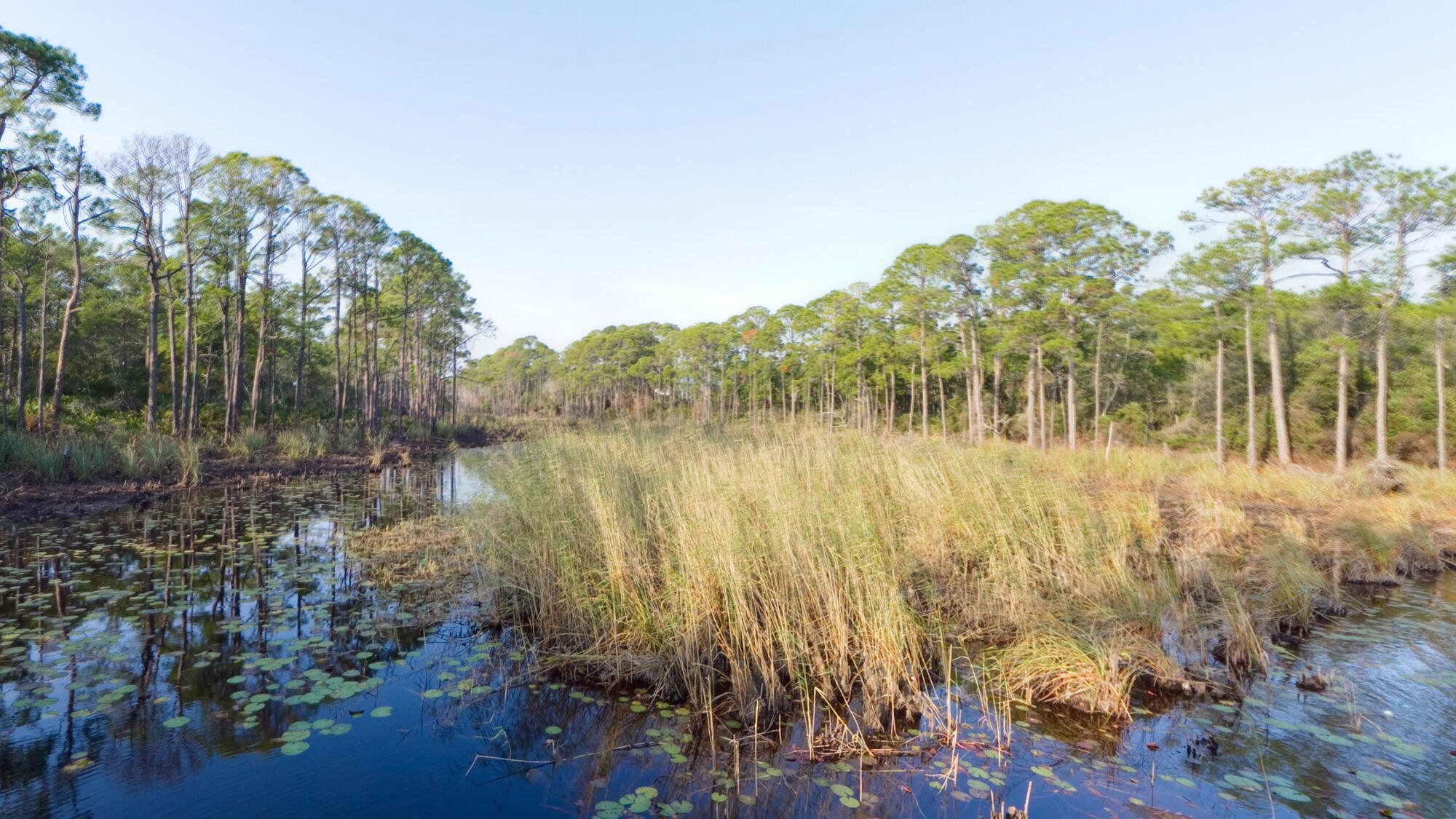 2046 W County Highway 30a Santa Rosa Beach FL 32459