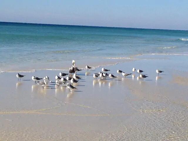 Fort Walton Beach FL 32548