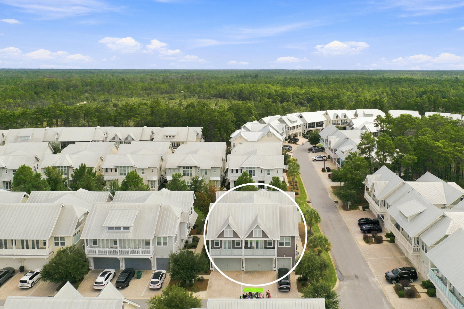 14 Dune Comet Lane Inlet Beach FL 32461