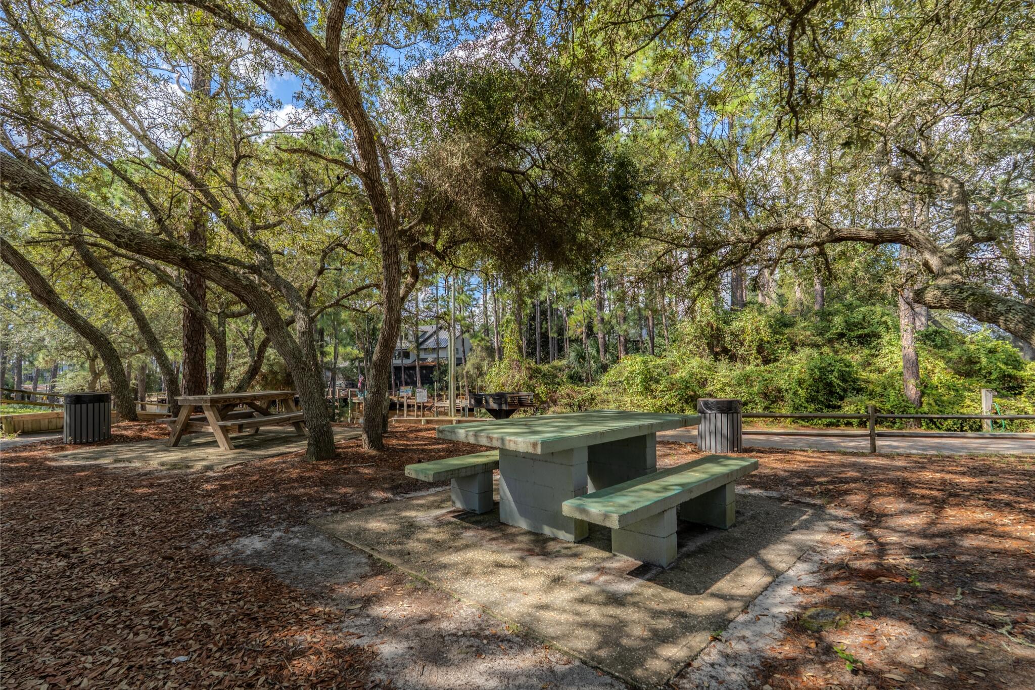 55 Shannon Drive Santa Rosa Beach FL 32459
