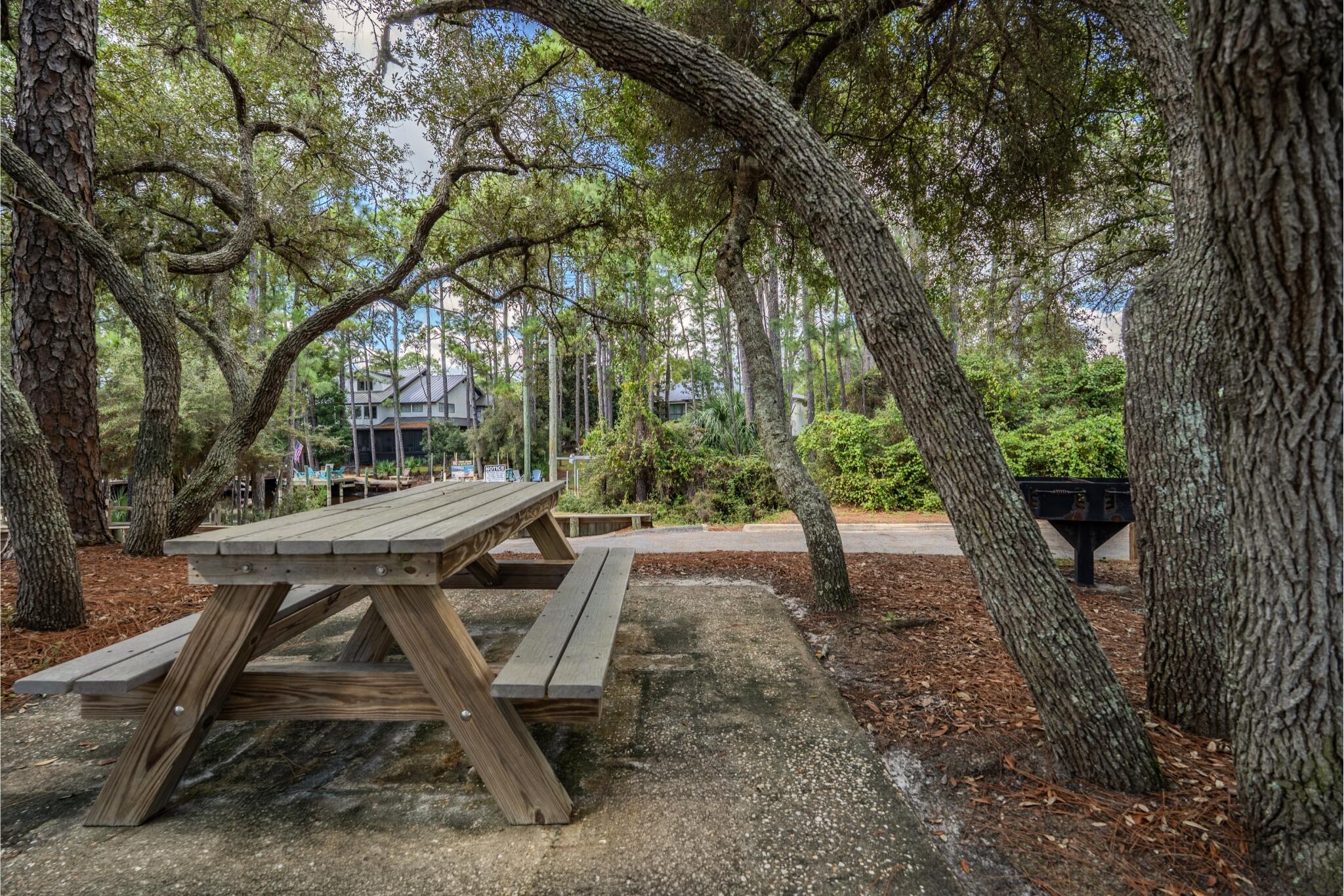 55 Shannon Drive Santa Rosa Beach FL 32459