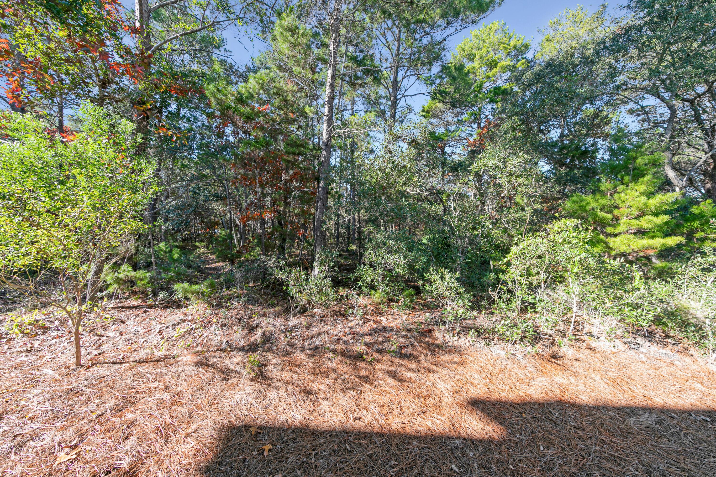 209 Milestone Drive Inlet Beach FL 32461