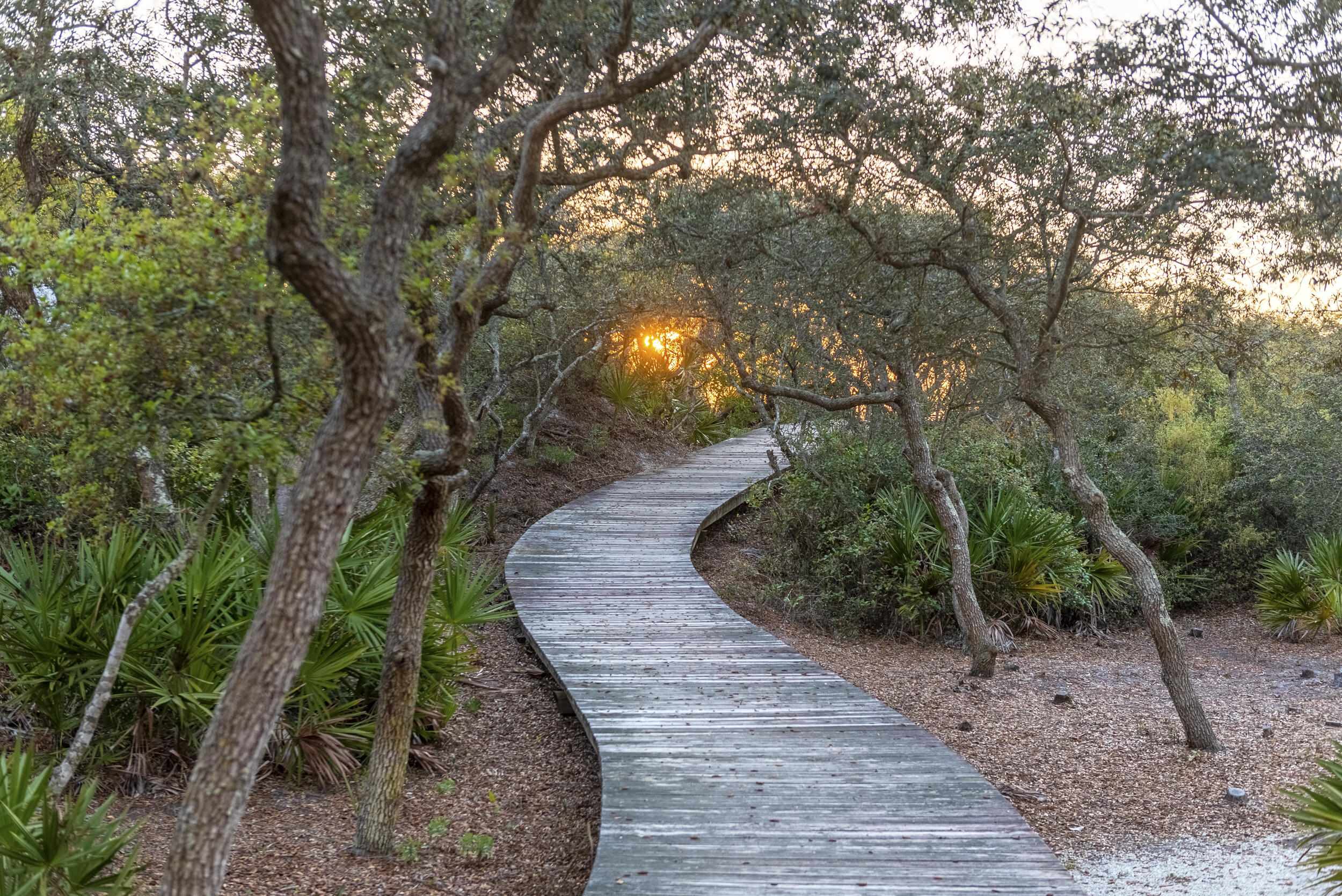 337 S Bridge Lane Watersound FL 32461